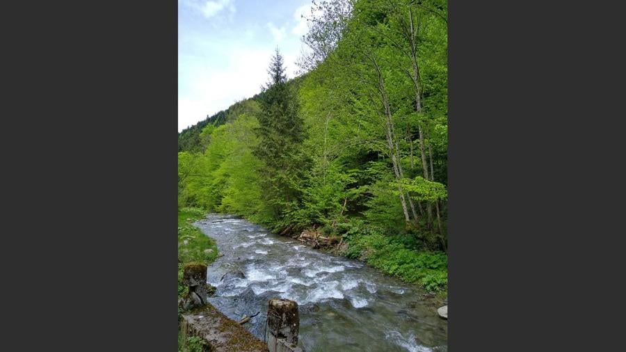 House for sale, 5 Rooms, 180 sqm, Valea Dejani