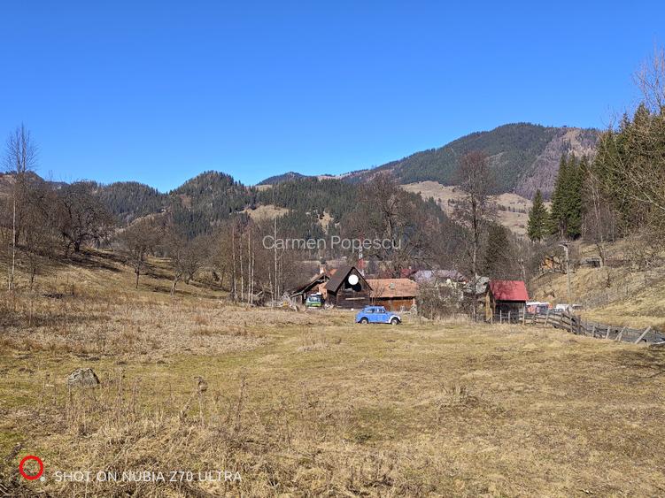 Teren la munte în Bucovina - 3