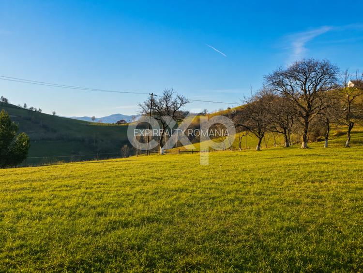 PANORAMA POIANA MĂRULUI | Terenuri cu potențial de dezvoltare - 3