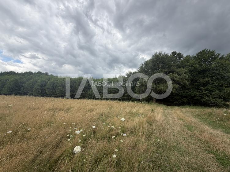 Teren extravilan 3650 mp latime 28 ml pretabil pentru cabana turistica - 5