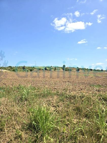 Teren intravilan de 4500 mp in zona industriala Episcopia,Oradea, Bihor