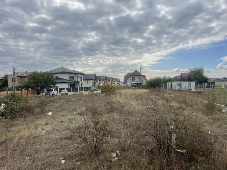 Domnești, Drumul Târgului, teren 1876 mp, 66ml x 28 ml, se poate parcela - 4