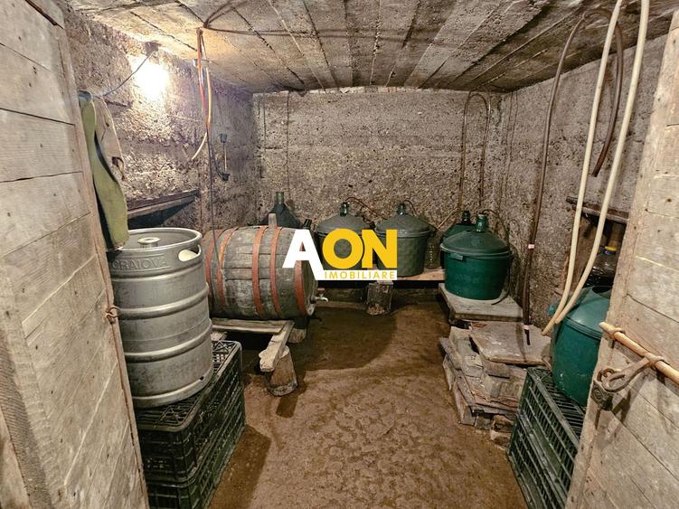 Casă batranească, 3 camere, 2200 mp teren, sat Bucerdea Grânoasă