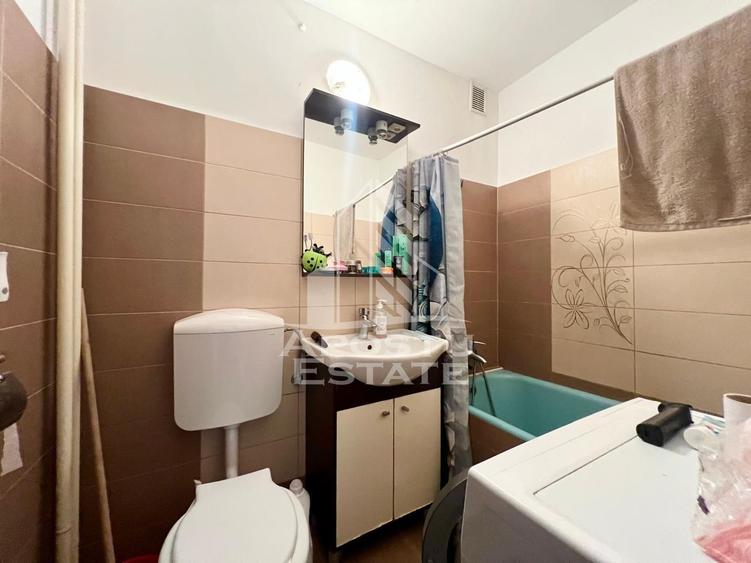 Apartament cu o camera de vanzare, zona Lipovei, Timisoara