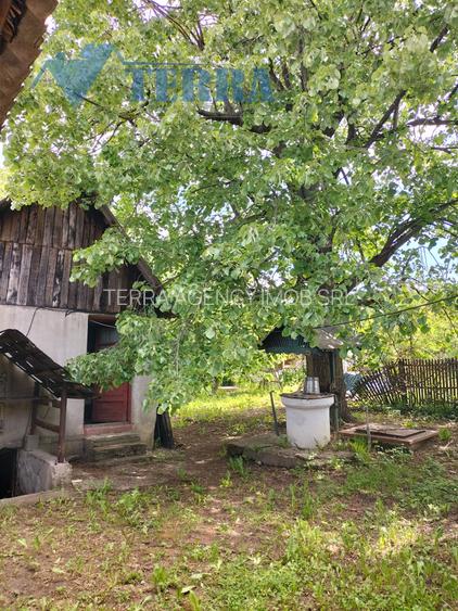 Casă cu teren de 2.300 mp și livadă în Rădești – Stâlpeni, Argeș - 5