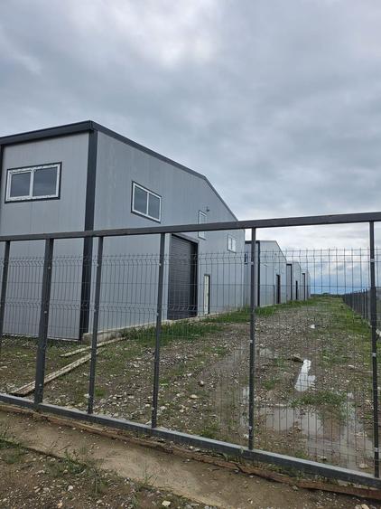 Hale noi 2026 AFUMATI ( Moara Domneasca ) 2300 Euro