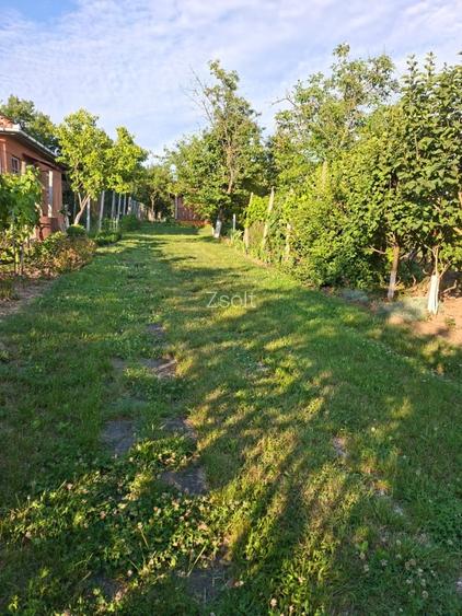 Teren intravilan zona Viile Satu Mare  - 8