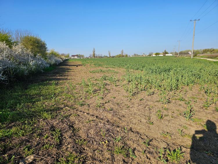 10.100mp TEREN CONSTRUCȚII INTRAVILAN POTIGRAFU, DESCHIDERE 31m direct la DN1