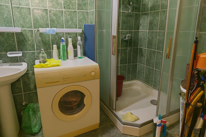 VANZARE AP 2 CAM SALA PALATULUI