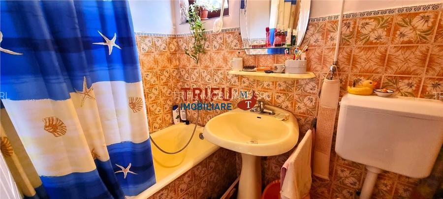 Casa tip duplex de vanzare zona Cetate - 7
