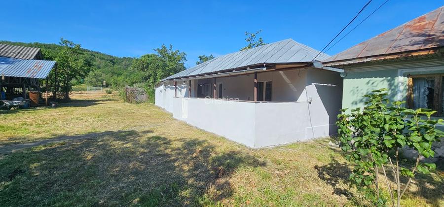 VÂNZARE MOȘIE – Sat Mitrofani, Comuna Mitrofani, jud. Vâlcea - 3