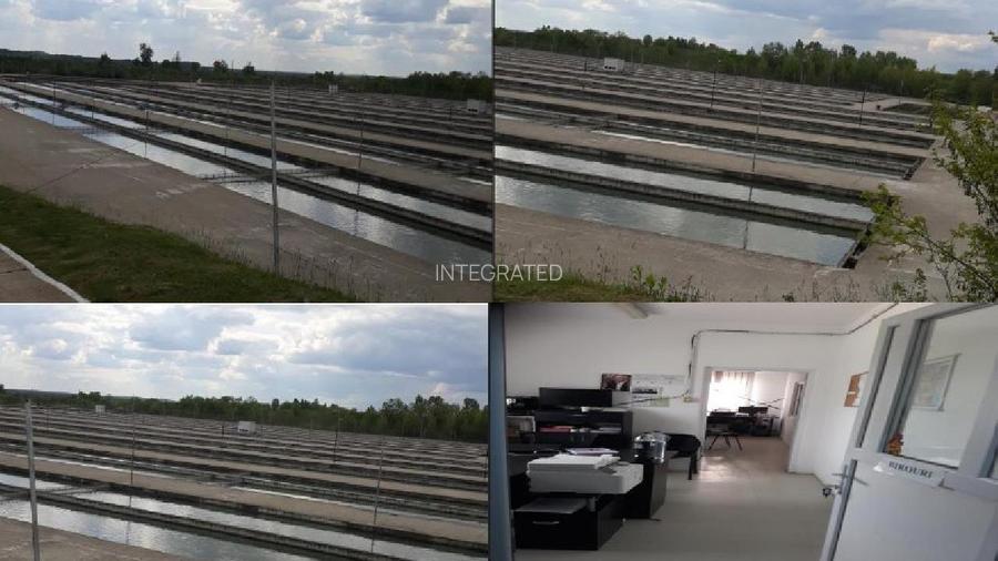 FERMA  PISCICOLA ~ Vacaresti ~  Dâmbovița - 3