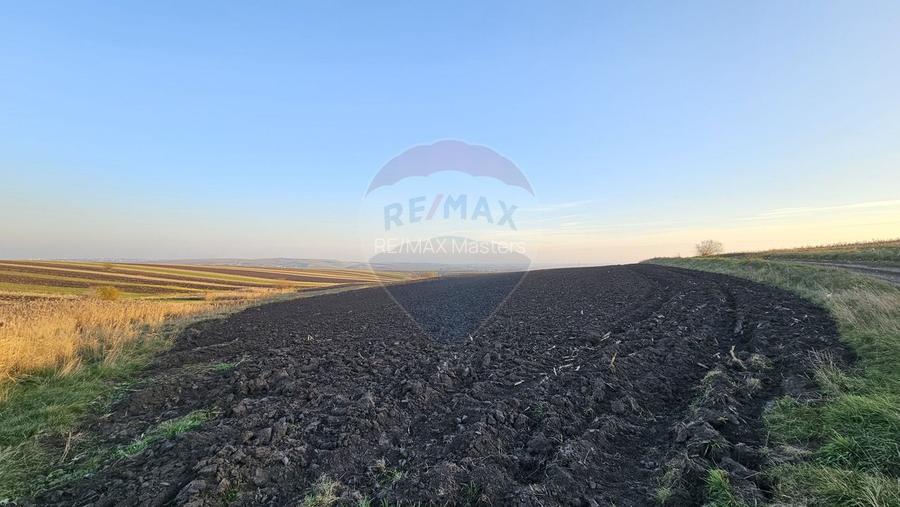 Teren extravilan 30077mp Stroiesti / Soseaua DN17, Suceava - 12