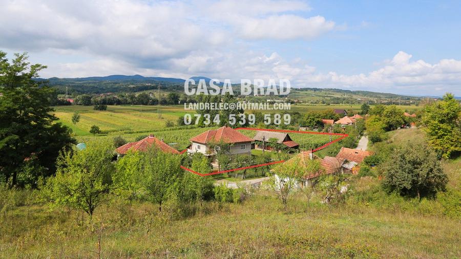 Casa mare cu ~4000mp teren plat, in zona verde, linistita, in orasul Brad, HD