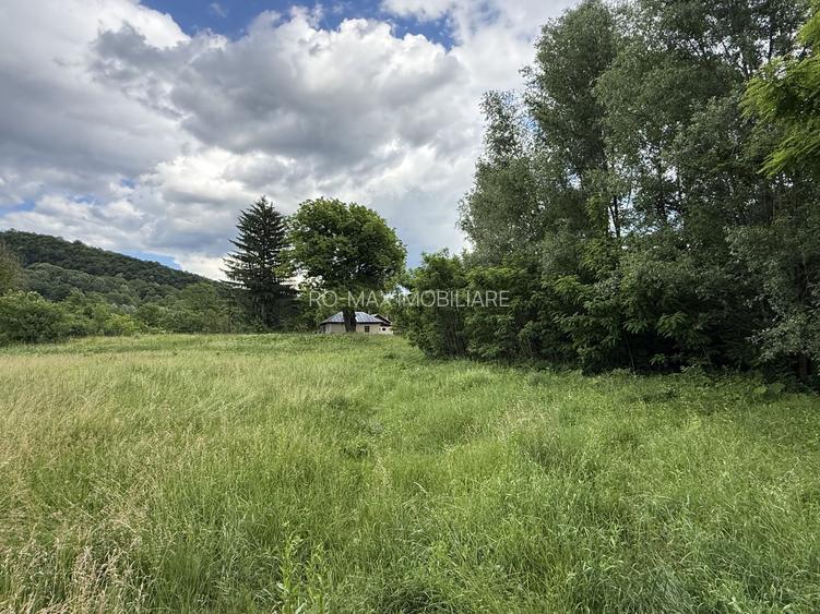 Teren plat-intravilan -3800 mp, cu pădurice și ieșire la râu! - 2