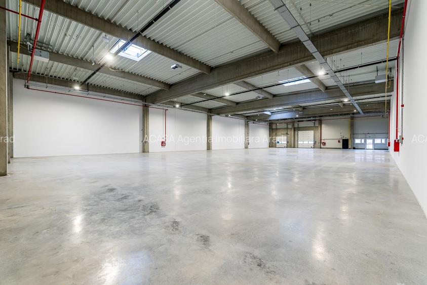 4646 mp - Hala industriala de inchiriat in Parc Industrial Arad - 10