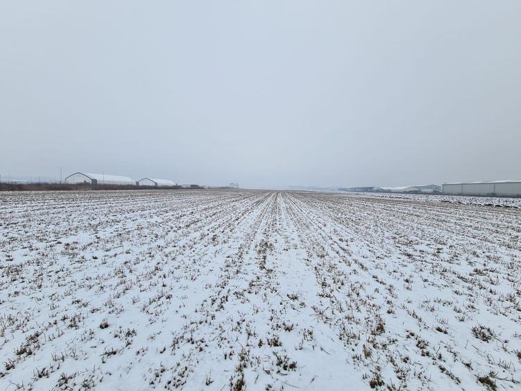 Teren industrial de vanzare in Stupini