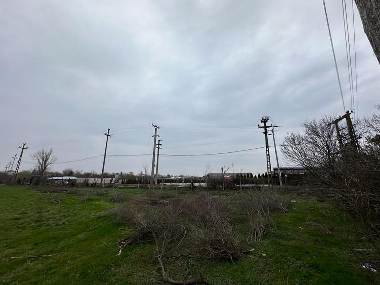 Teren intravilan Mogosesti | Giurgiu | 370.000mp | Adunatii Copaceni