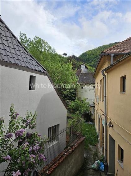 Garsoniera in zona ultracentrala de inchiriat small pet friendly - 9