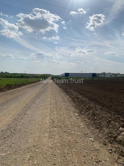 Centura Pantelimon  Vanzare  Teren  extravilan 3ha - 5000mp - 3