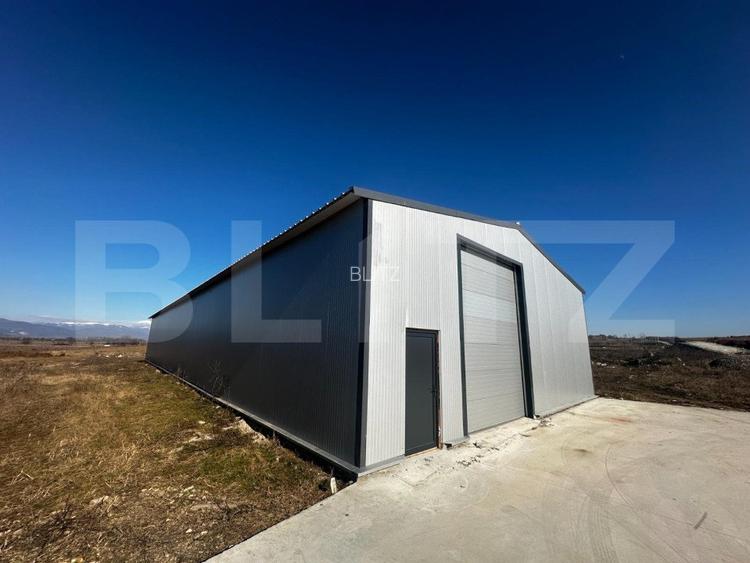 Hala 480 mp si 2000 mp teren, zona Preajba - 3