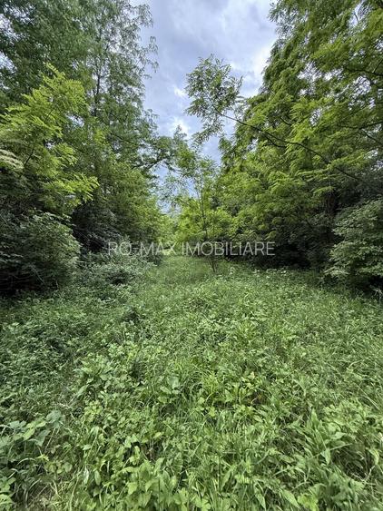 Teren plat-intravilan -3800 mp, cu pădurice și ieșire la râu! - 29