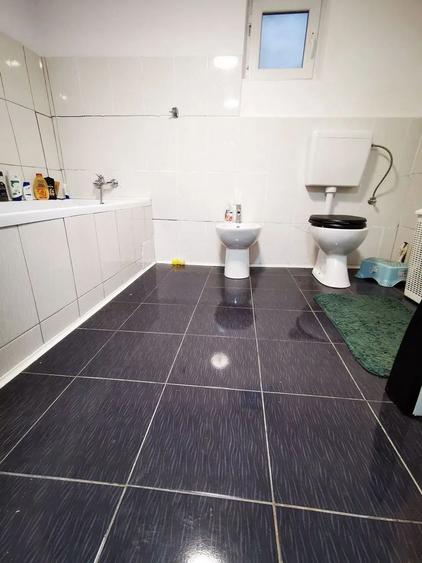 Casa în zona Mehala, teren 740 mp- toate utilitățile.