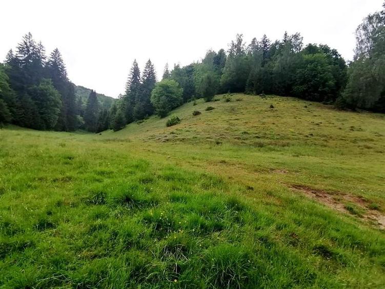 Teren intravilan Poiana Mica, 2763 mp, PUZ constructie casa P+4E+M