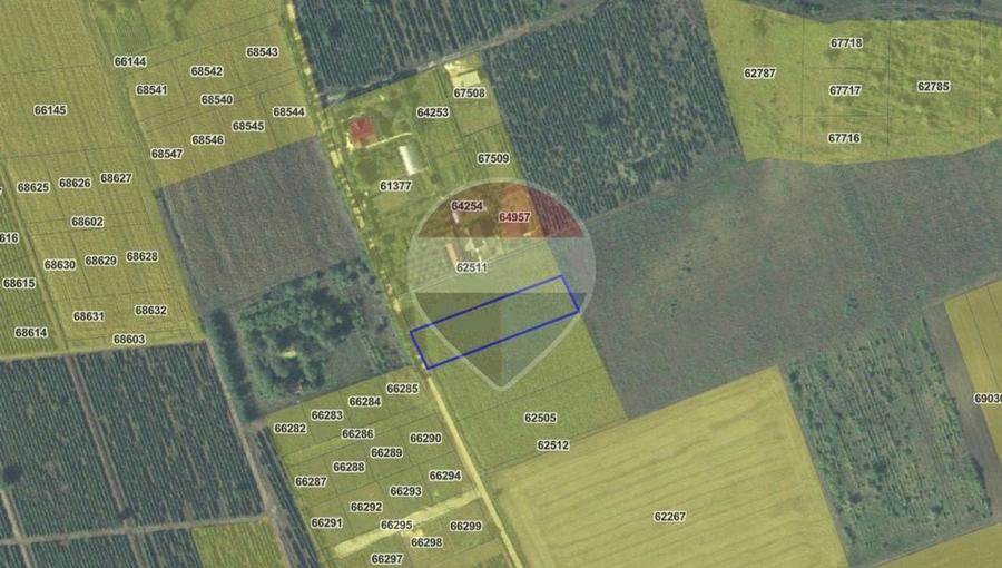 Teren Aroneanu – Oportunitate pentru investitori | 1950 mp / 1762 mp