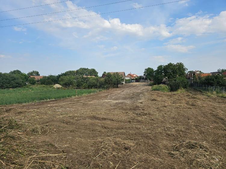 Teren Intravilan Dudestii Noi 2878 MP - str. Viilor nr. 47