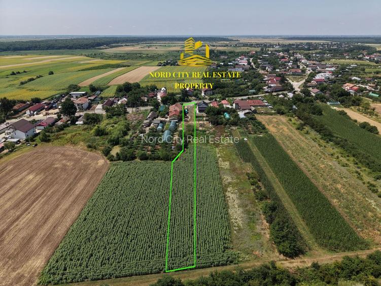 Teren 2.700 mp Ciocănești - Urziceanca | La asfalt - 3