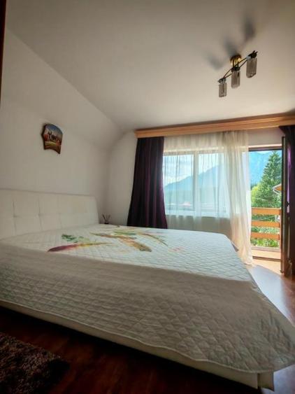 Busteni Kalinderu Vila 5 dormitoare supr 250mp