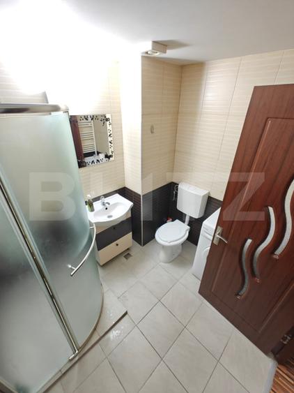 Studio de inchiriat, 60 mp, zona Ultracentral