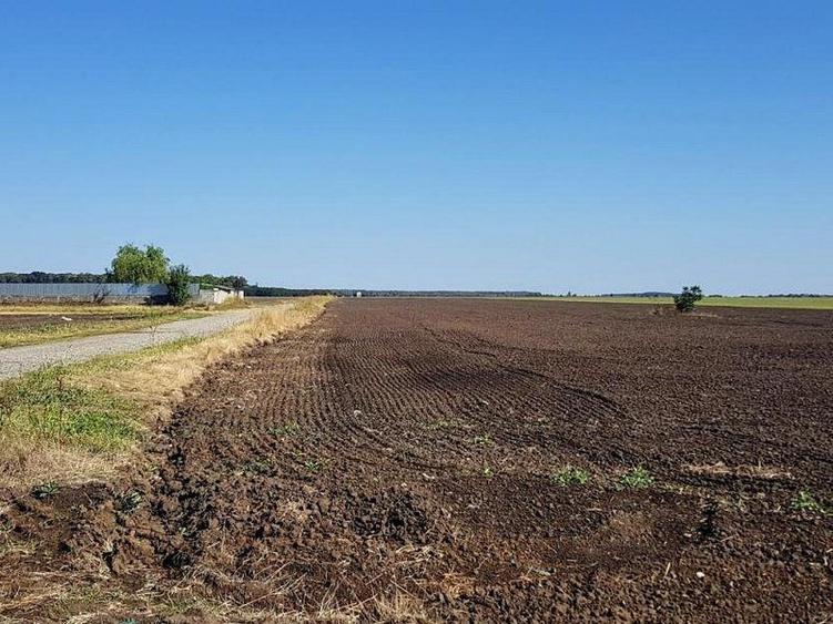 Teren intravilan de vânzare Brănești – DN3, deschidere 60 ml investie