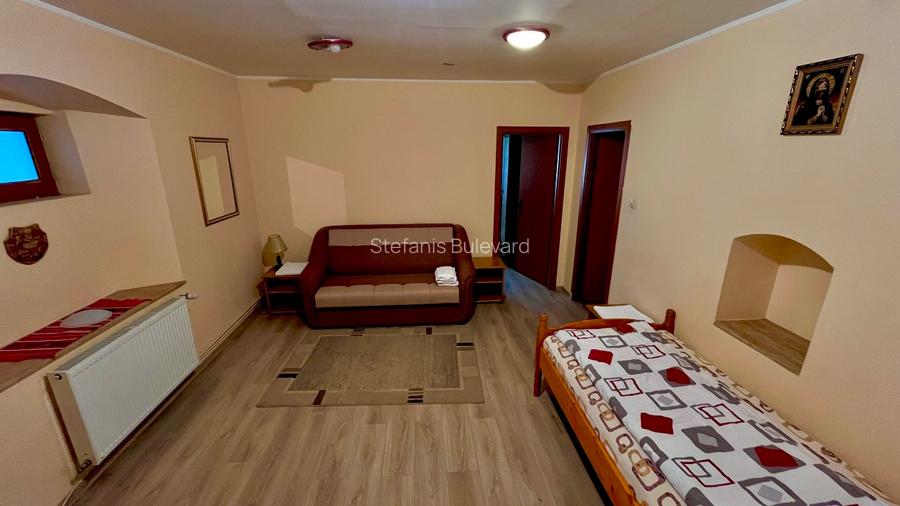 Proprietate cu uriaș potențial turistic, cramă, restaurant, saună și 2 ciubere - 14
