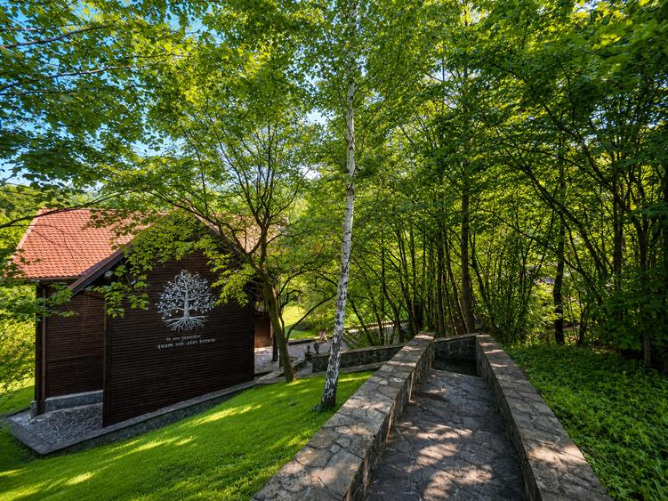 Mountain Chalet | Private Resort | Investment - Nistoresti