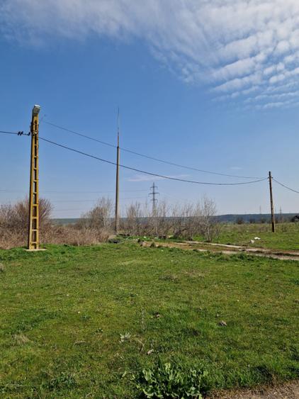 Fermă de vânzare 8 ha – Balș, județul Olt