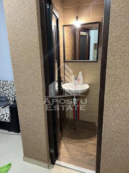 Apartament 1 camera de inchiriat, Dambovita, Timis