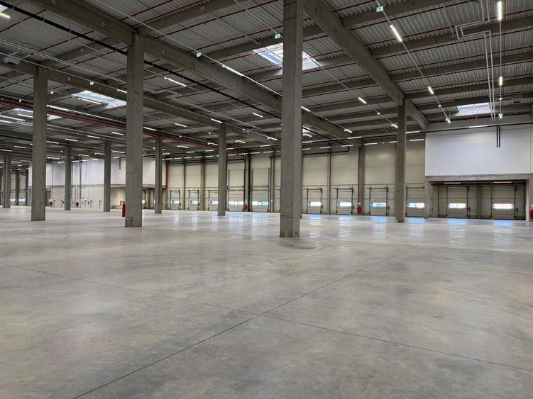 Hală suprafețe disponibile 1.000-40.000mp