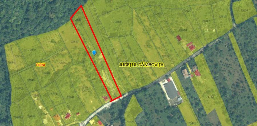 Teren intravilan faneata Fieni 4.488 mp (licitatie)