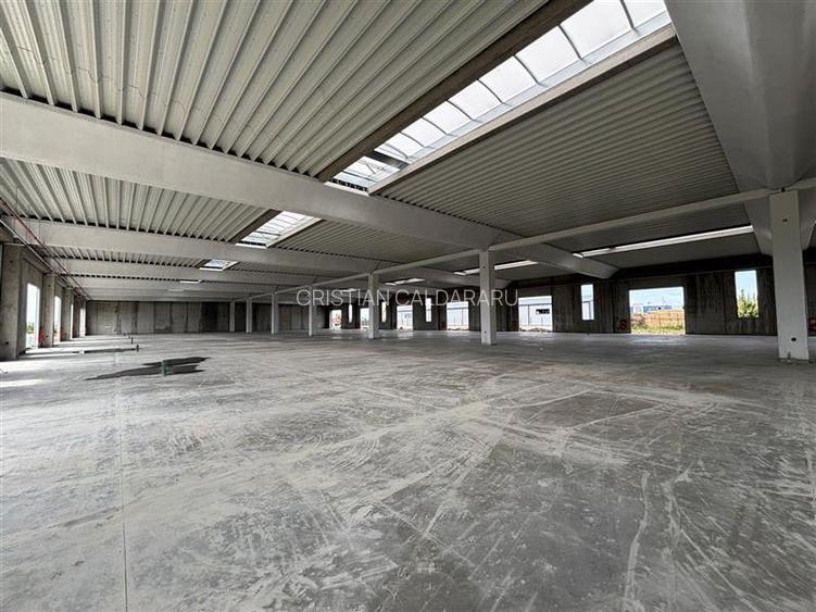 Vanzare depozit/spatiu industrial/hala Chitila - Rudeni, ILFOV - 9