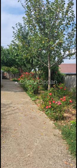 Spre vânzare casă cu teren generos - 3