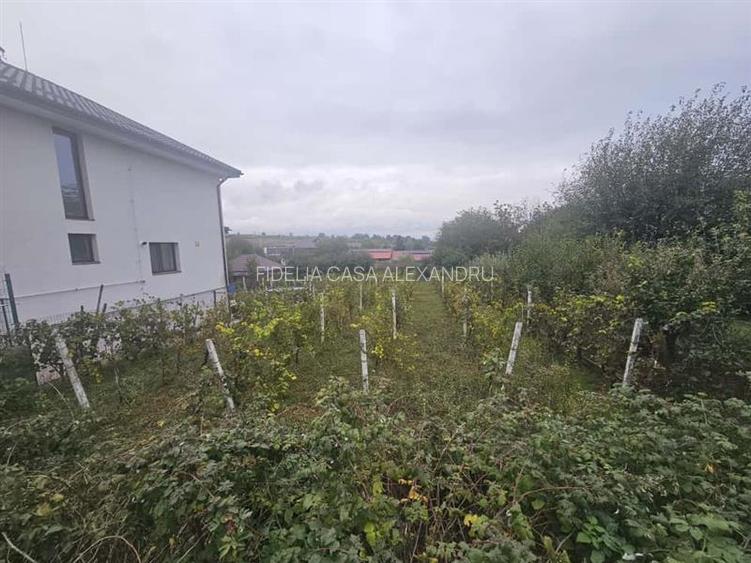 Teren pentru constructii case  de vanzare Iasi, Valea Lupului, - 4