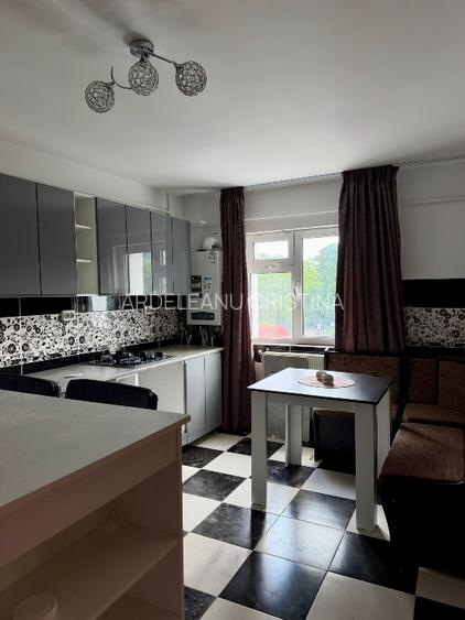 Apartament cu 2 camere de închiriat – Ultracentral - 8