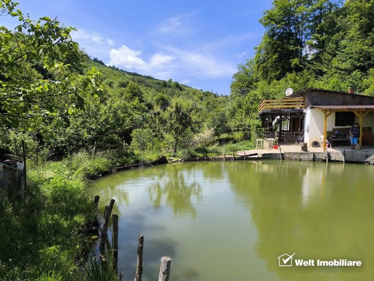 Casa de vacanta, cu lac, 5640 mp teren, Huta, com. Chiuiesti, jud. Cluj