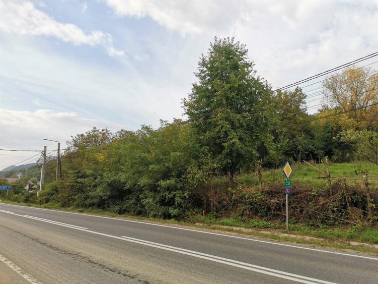 Vand teren intravilan in centrul Ilbei