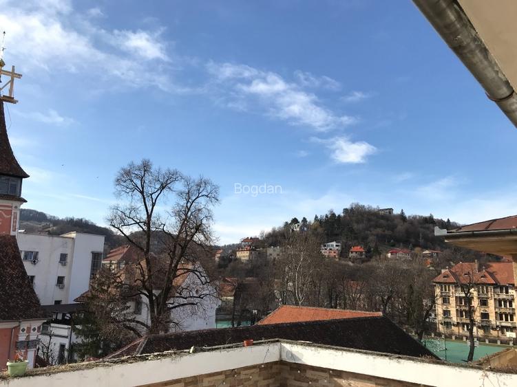 Proprietate UNICA in locatie unica - 14