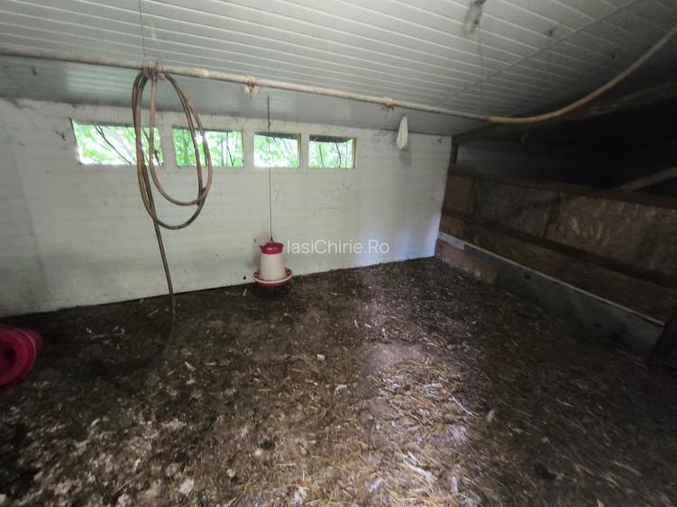 DE VÂNZARE – Domeniu cu casă, teren și afacere zootehnică avicolă în Dochia, NT - 14