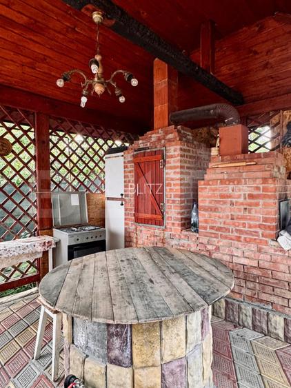 Proprietate potențial rezidențial și comercial, 1200 mp teren, zona Valea Adanca - 11