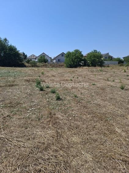 Teren intravilan 891 mp – Valea lui Traian, utilități, drum privat,zonă curată - 4